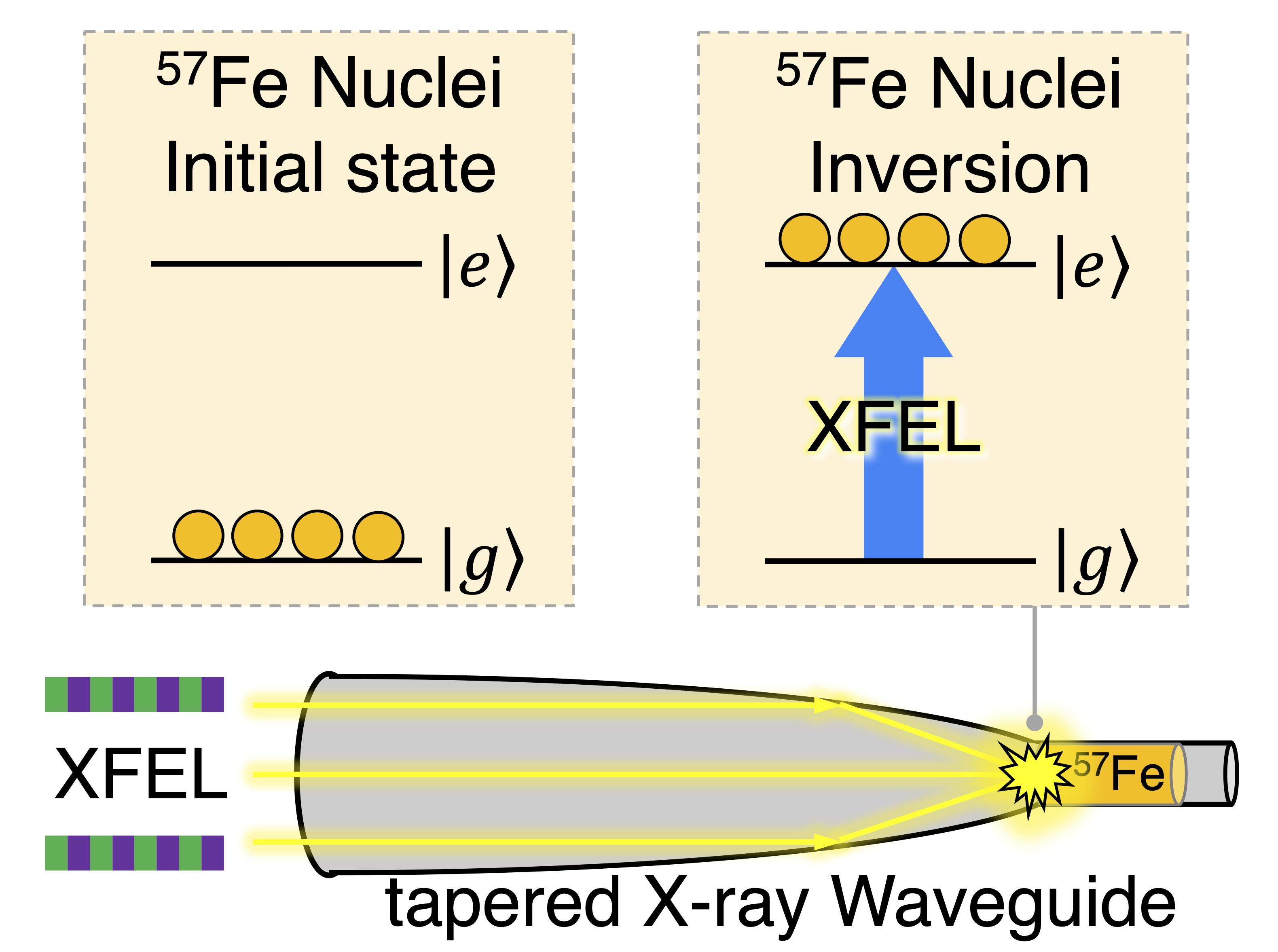 Generation of transient nuclear inversion in a tapered x-ray waveguide