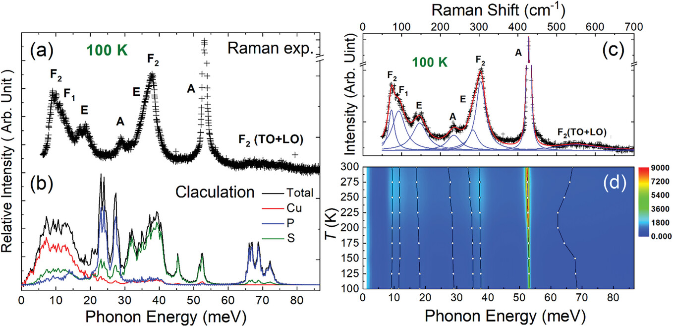 Amorphous-Like Ultralow Thermal Transport in Crystalline Argyrodite Cu7PS6