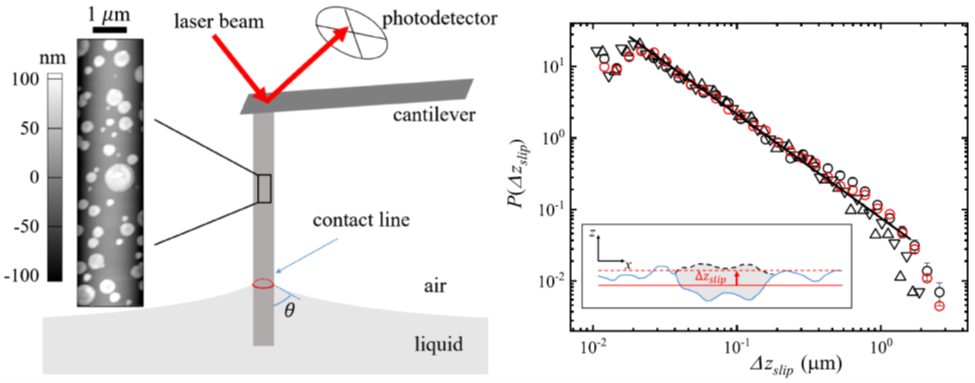 Avalanches and Extreme Value Statistics of a Mesoscale Moving Contact Line